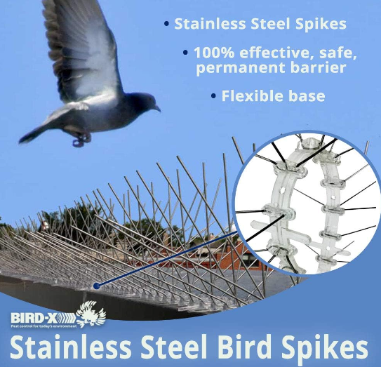 Bird-X (STS-100-R) Stainless Steel Spikes - 100 Feet, Regular